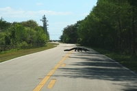 loxahatchee