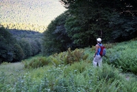 Mt Mansfield 