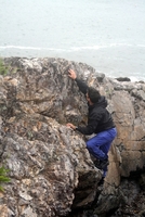 marblehead