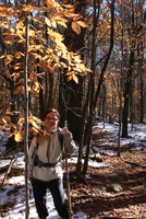 monadnock