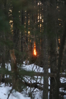 monadnock