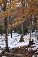 monadnock