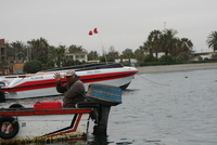 paracas
