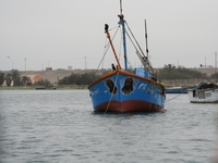 paracas 