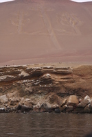 paracas candelabra