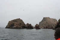 paracas