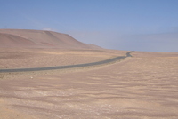 paracas