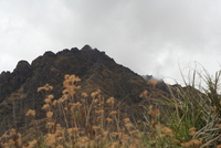 pisaq 