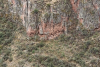 pisaq