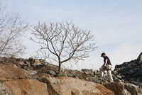 quincy quarries