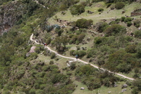warmiwanuska 