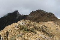warmiwanuska 