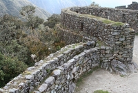 warmiwanuska 