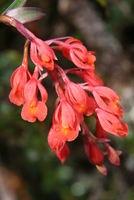 winaywayna