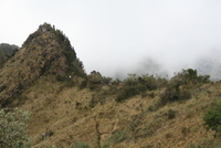 winaywayna