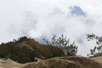 winaywayna