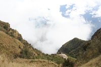 winaywayna