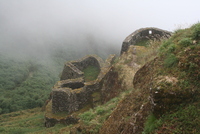 winaywayna