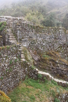 winaywayna