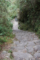 winaywayna 