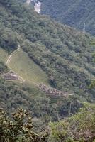 winaywayna 