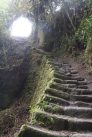 winaywayna 