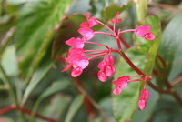 winaywayna 