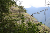 winaywayna
