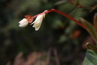 winaywayna