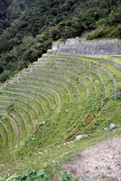 winaywayna