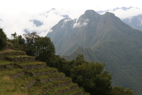 winaywayna