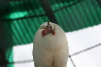 Sibiu zoo