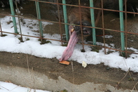Sibiu zoo 