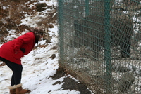 Sibiu zoo
