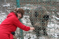 Sibiu zoo
