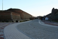 alba iulia david albeck
