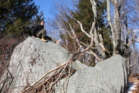 berkshires