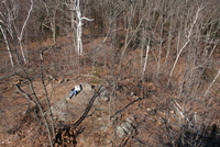 berkshires 
