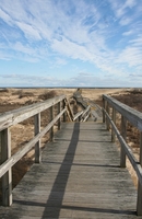 plum island
