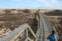 plum island