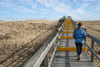 plum island