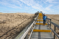 plum island