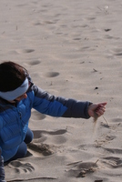 plum island 