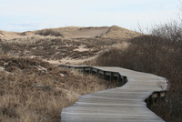 plum island 