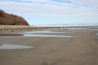 plum island