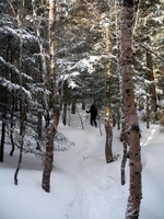 Mt Washington