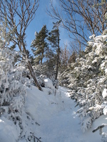 Mt Washington 