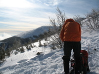 Mt Washington