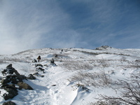 Mt Washington