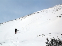 Mt Washington